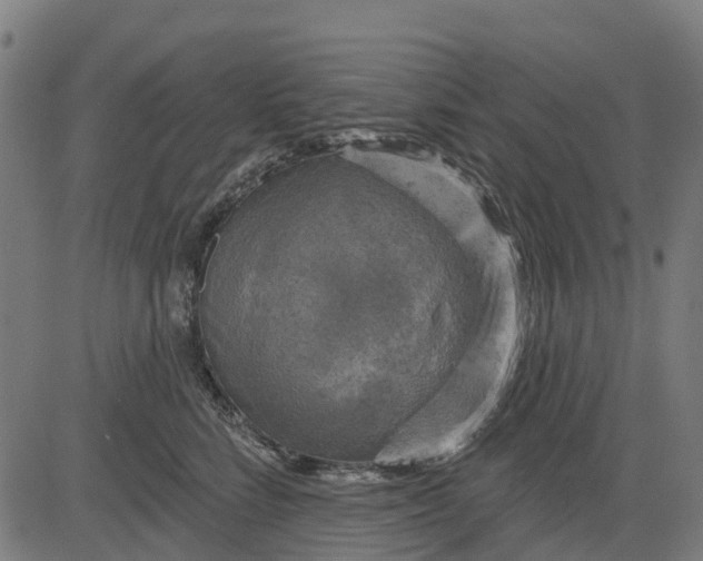 X0000084560712200703091745