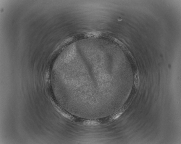 X0000084560714200703091745