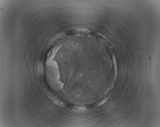 X0000084560715200703091745