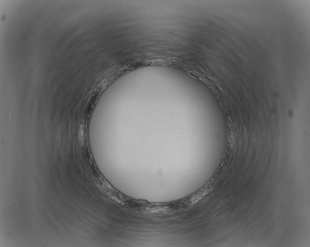 X0000084560716200703091745