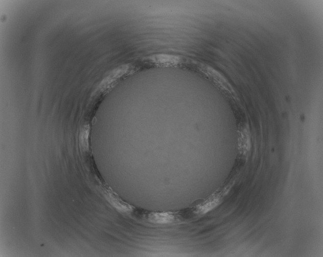 X0000084560717200703091745