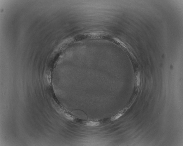 X0000084560718200703091745