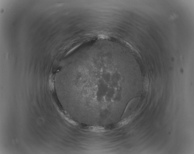 X0000084560719200703091745