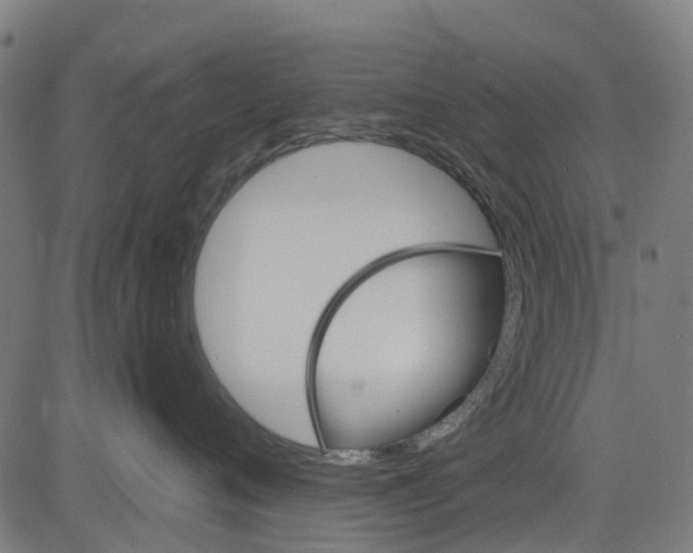 X0000084560720200703091745