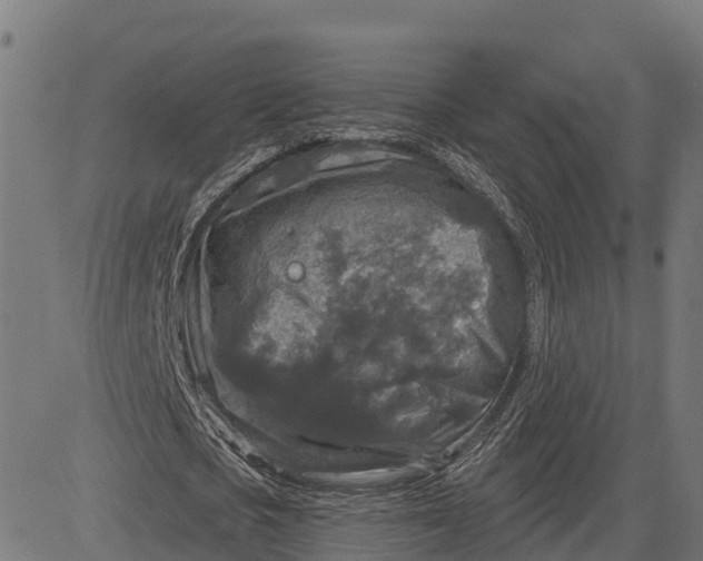 X0000084560721200703091744