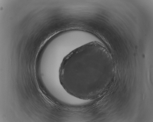 X0000084560722200703091744