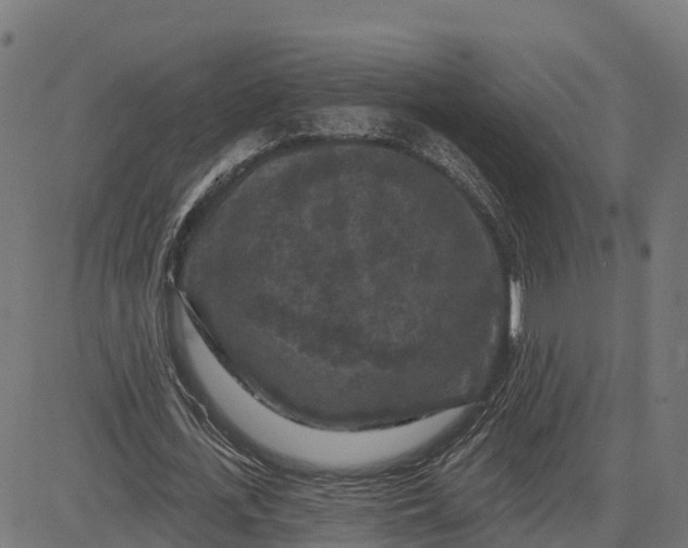 X0000084560723200703091744