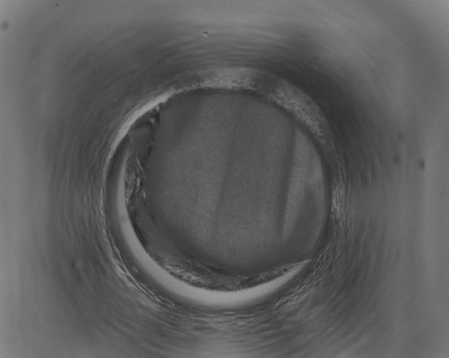 X0000084560724200703091744