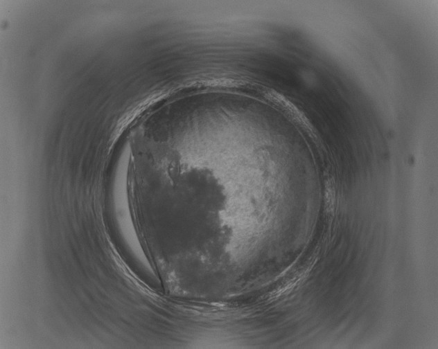 X0000084560725200703091744