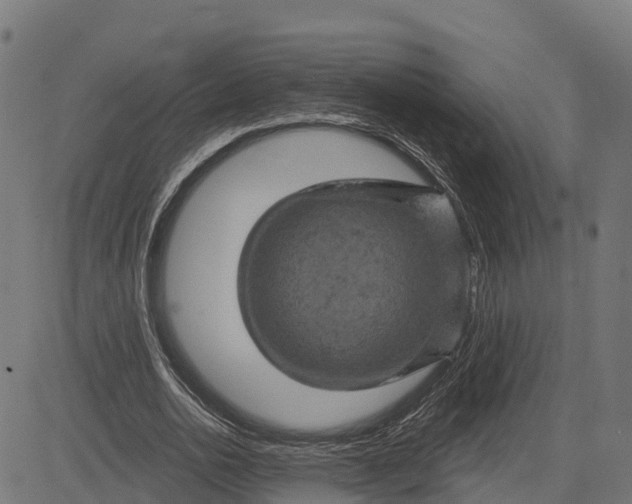 X0000084560726200703091744