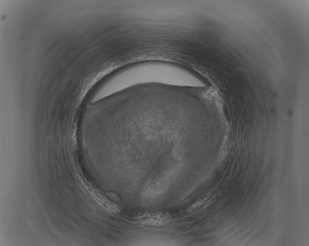 X0000084560727200703091744