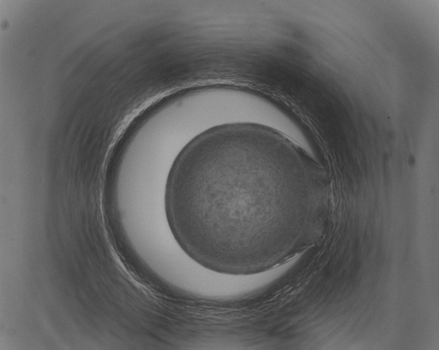 X0000084560728200703091744