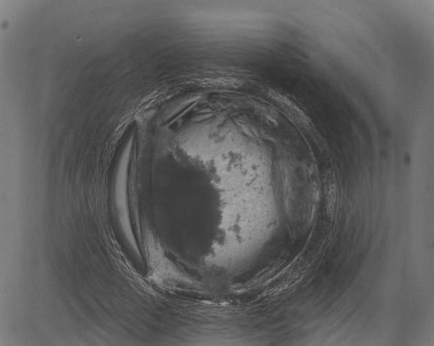 X0000084560729200703091744