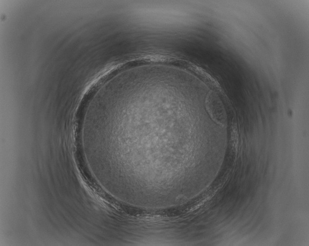 X0000084560730200703091744