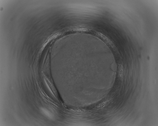 X0000084560731200703091744