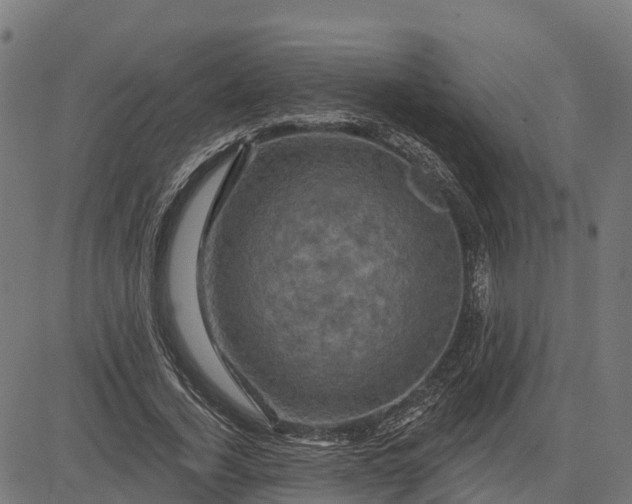 X0000084560732200703091744