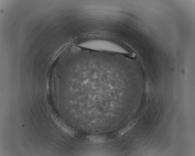 X0000084560733200703091744