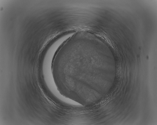 X0000084560736200703091744