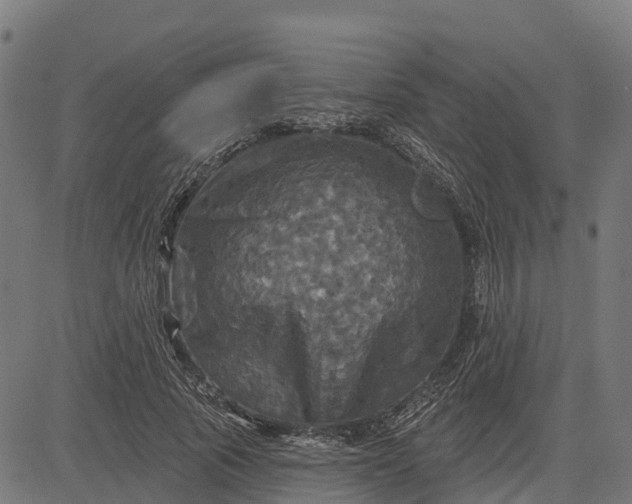 X0000084560737200703091744