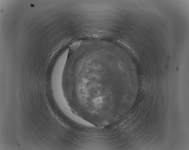 X0000084560738200703091744