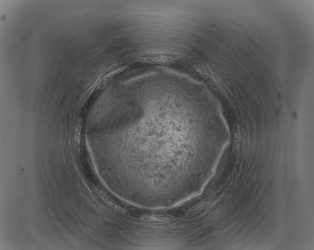 X0000084560739200703091744