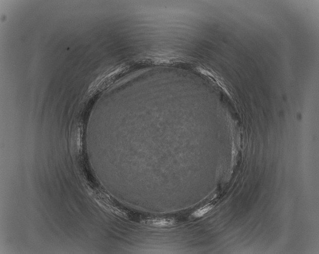 X0000084560740200703091744