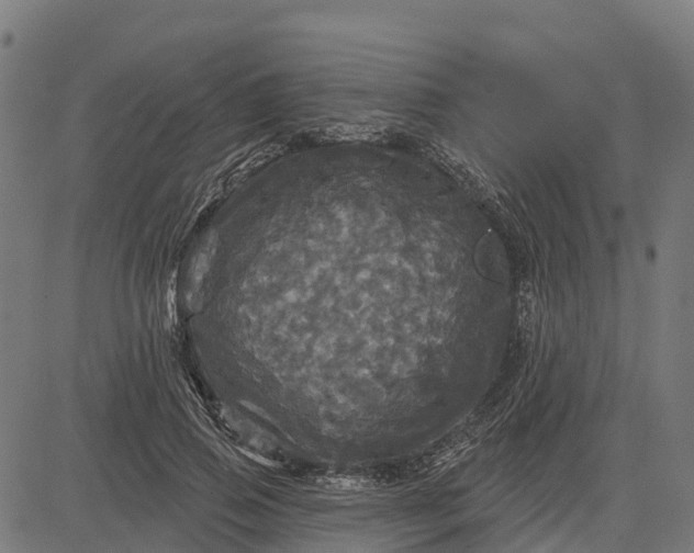 X0000084560741200703091744