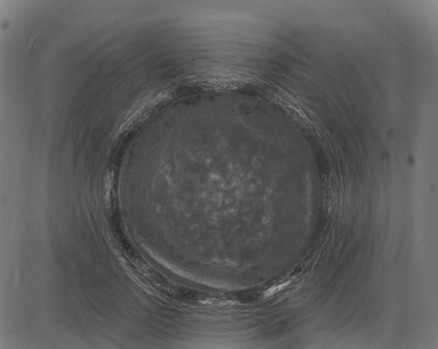 X0000084560742200703091744