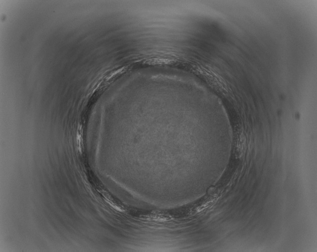 X0000084560743200703091744