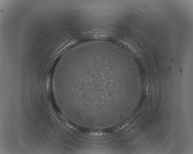 X0000084560744200703091745