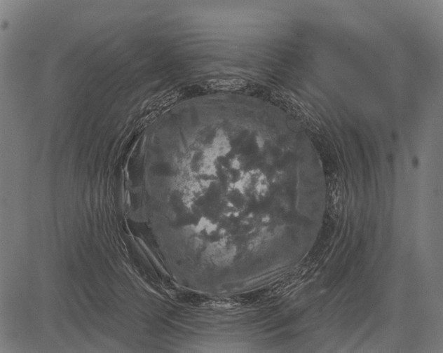 X0000084560745200703091745