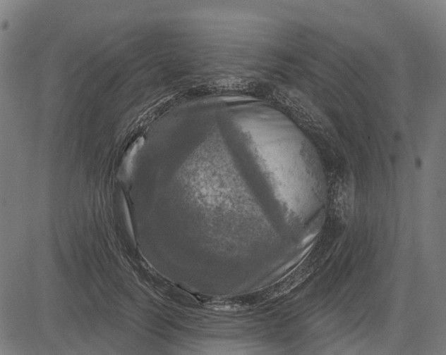 X0000084560746200703091745