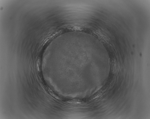 X0000084560747200703091745