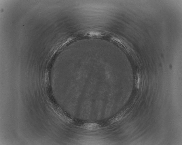 X0000084560748200703091745