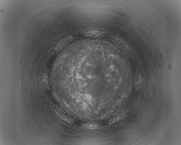 X0000084560749200703091745