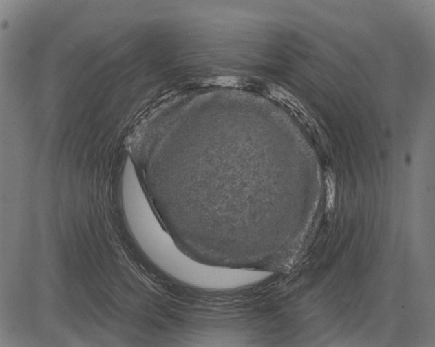 X0000084560750200703091745