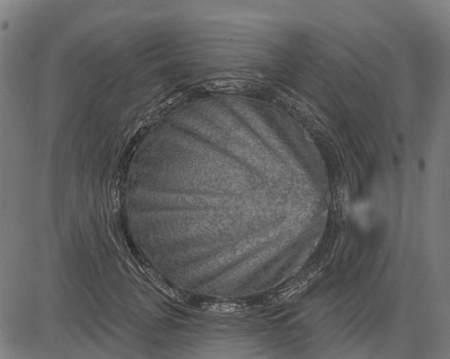 X0000084560751200703091745