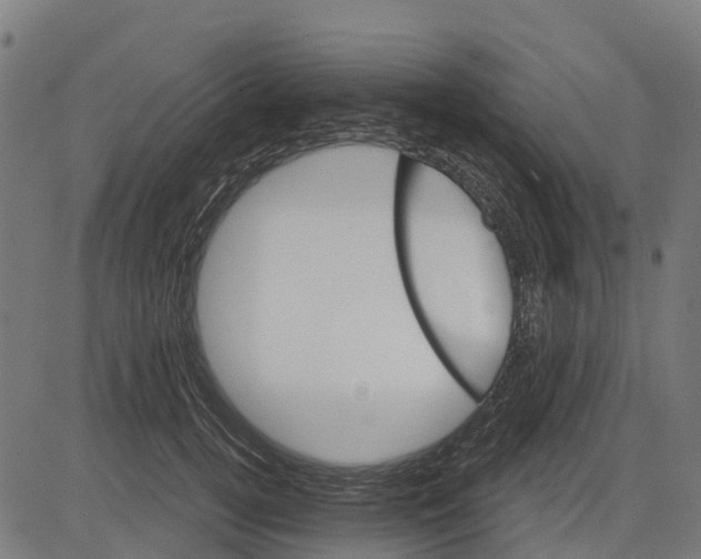 X0000084560752200703091745