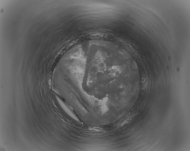 X0000084560753200703091745