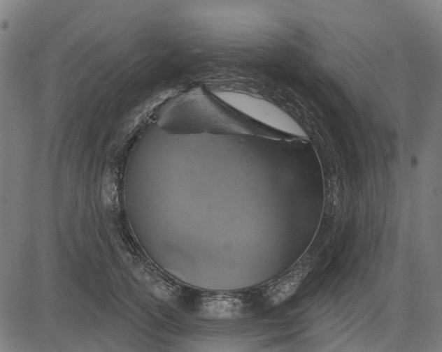 X0000084560754200703091745