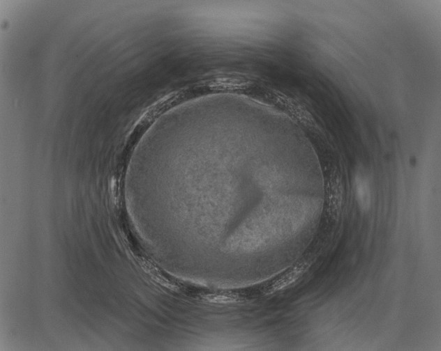 X0000084560755200703091745