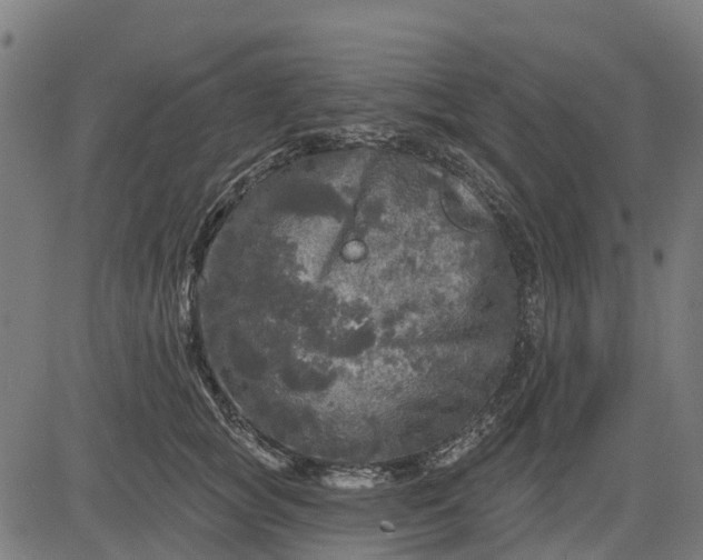 X0000084560757200703091745