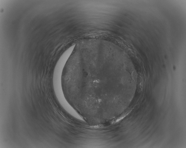 X0000084560758200703091745