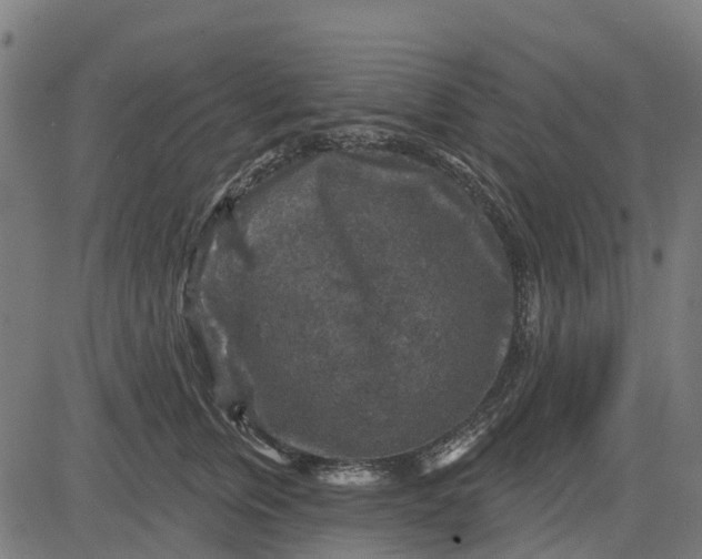 X0000084560759200703091745