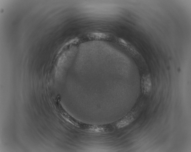 X0000084560760200703091745