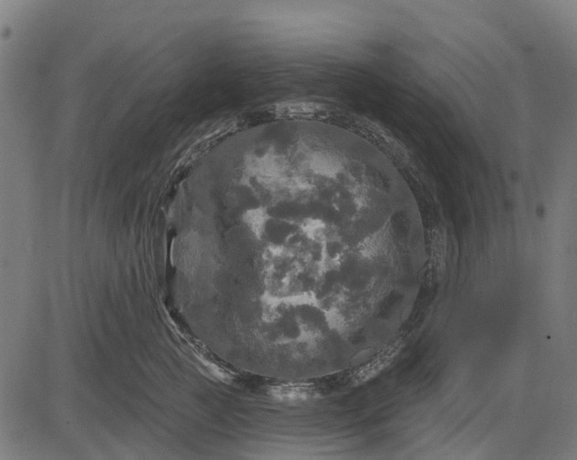 X0000084560761200703091745