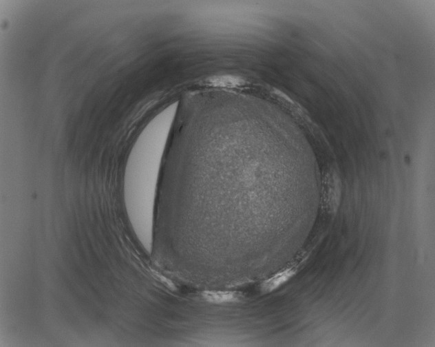 X0000084560762200703091745