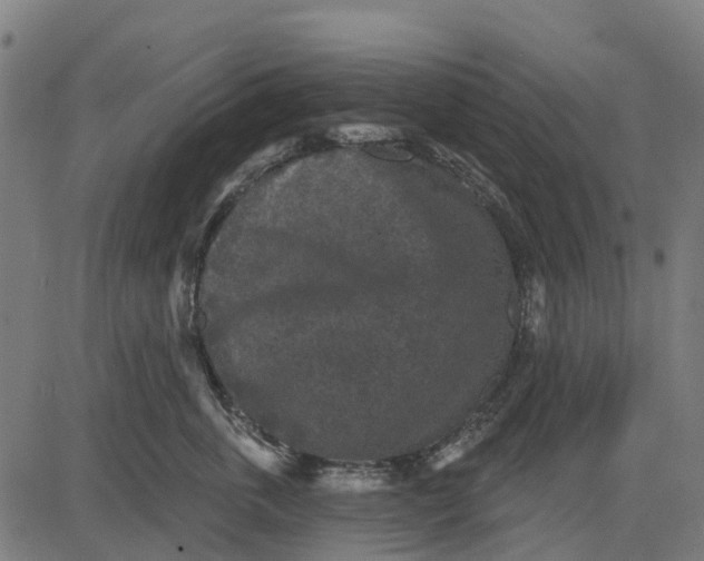 X0000084560763200703091745