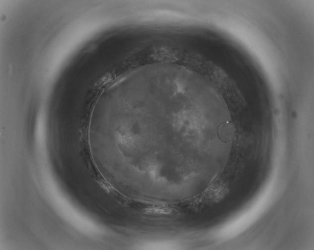 X0000084560765200703091745