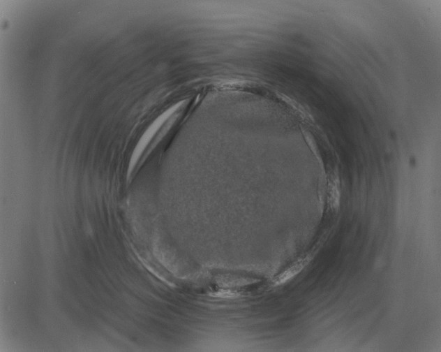 X0000084560766200703091745